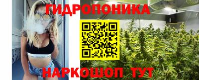 крисы Обнинск